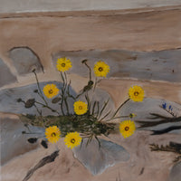 Dandelions by house wall (40x40cm)