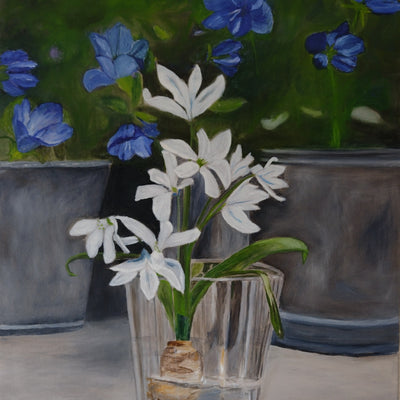 Onion plant in glass (50x60cm)
