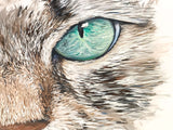 An eye (120x90cm)