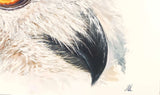 The look (120x90cm)
