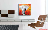 Red Elephant ( 80x80 cm )